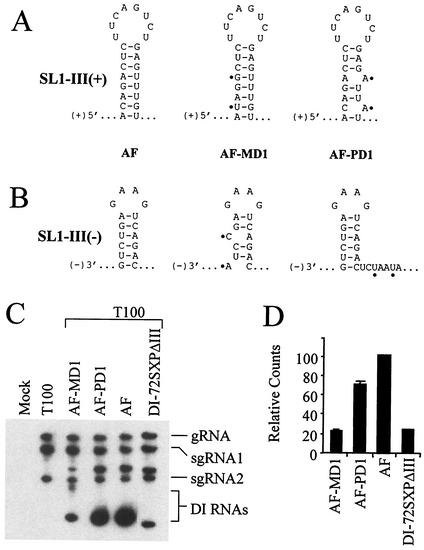 FIG. 8.