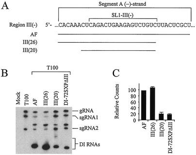 FIG. 10.