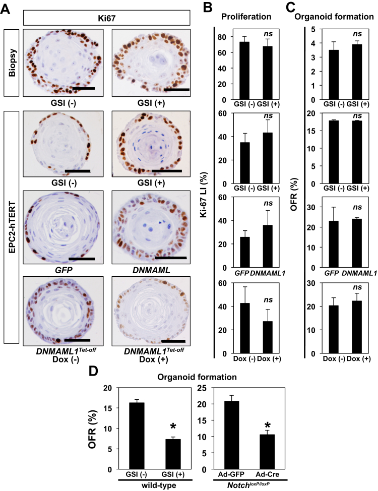 Figure 7