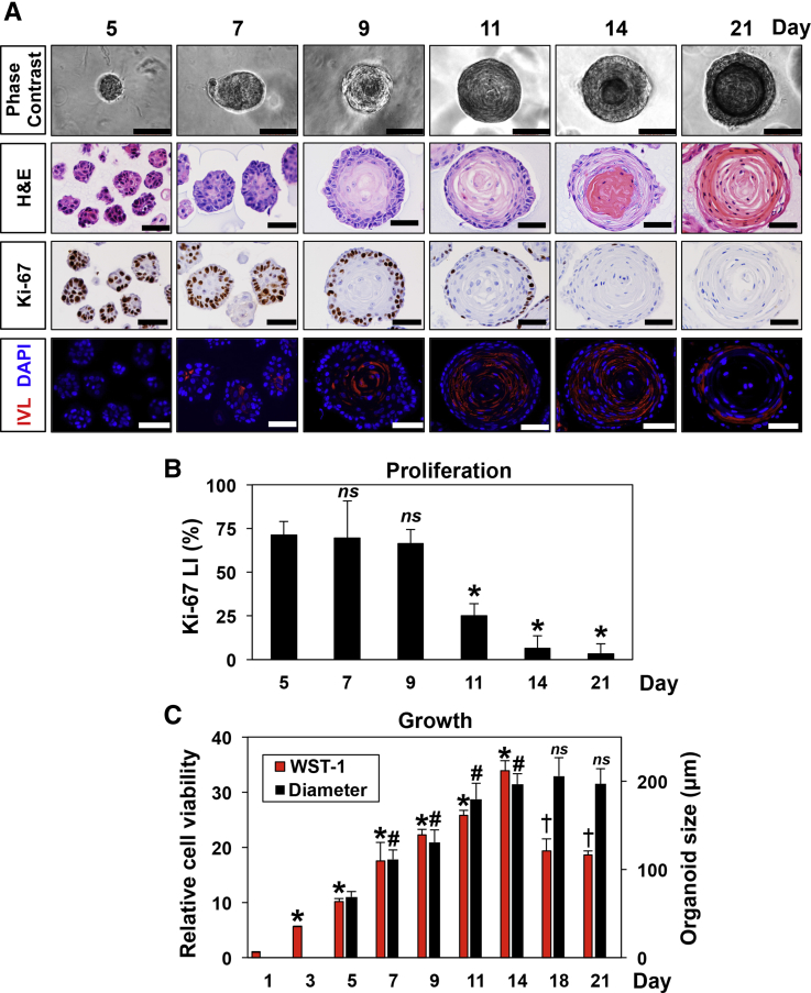 Figure 3