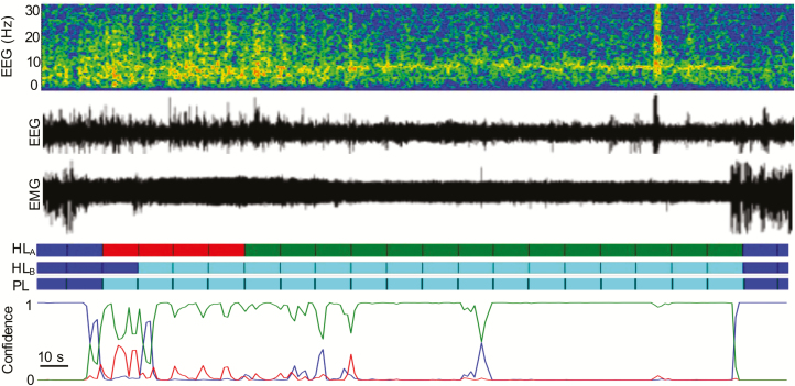 Figure 11.