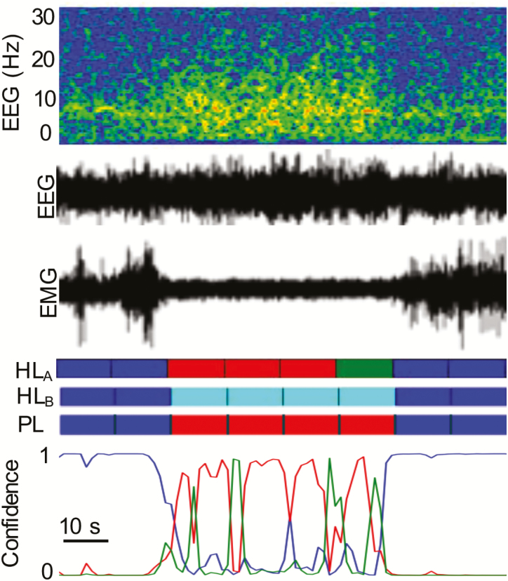 Figure 12.