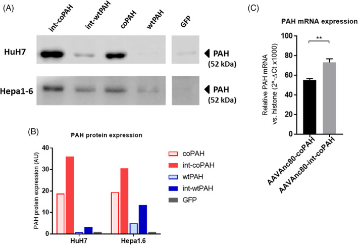 FIGURE 1