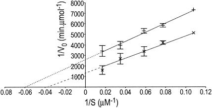 FIG. 5.