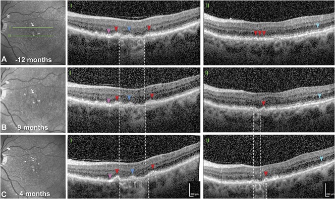 Fig. 4.