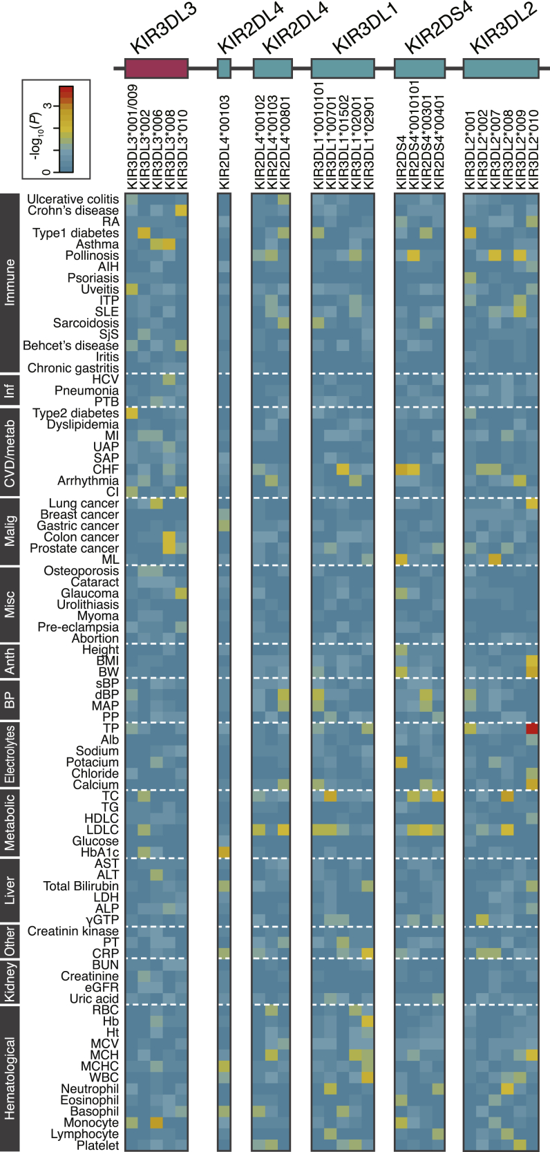 Figure 4