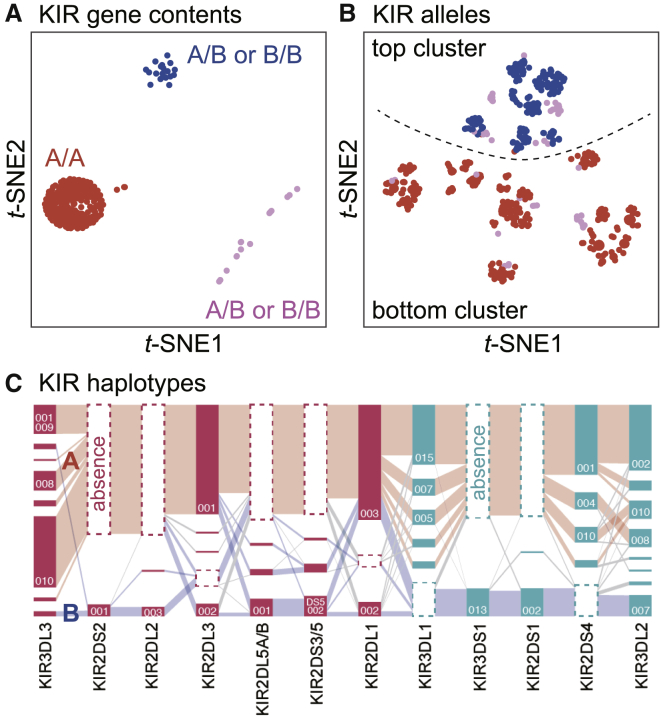 Figure 3