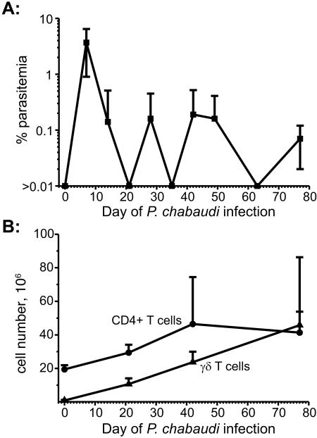 FIG. 1.