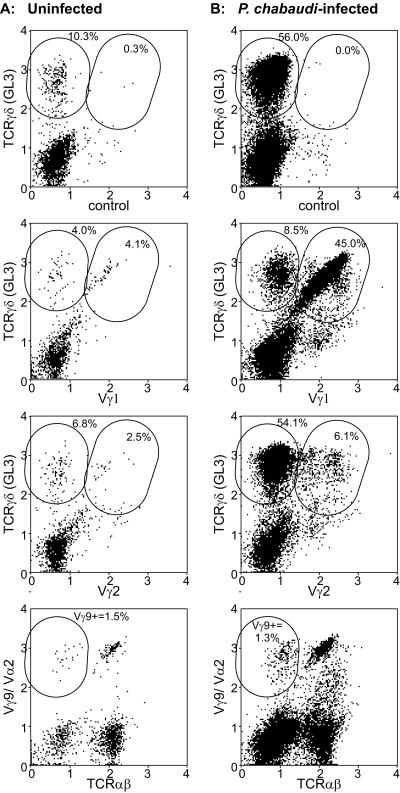 FIG. 2.