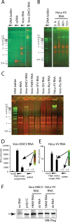 FIG. 7.