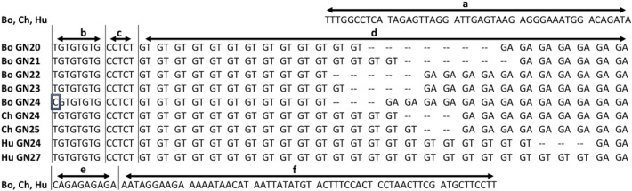 Fig. 4