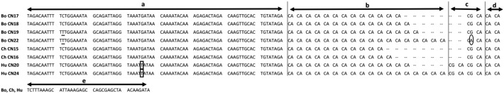 Fig. 3