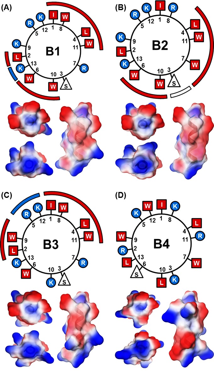 FIG 2