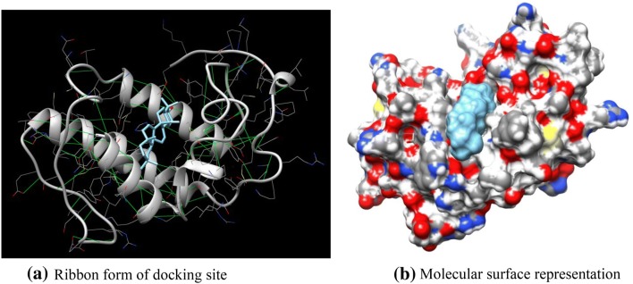 Fig. 2