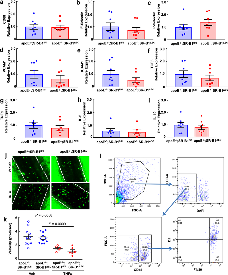 Extended Data Figure 5.