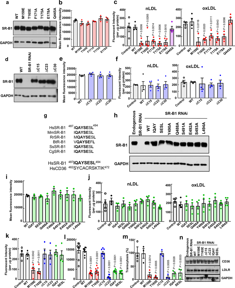 Figure 10.