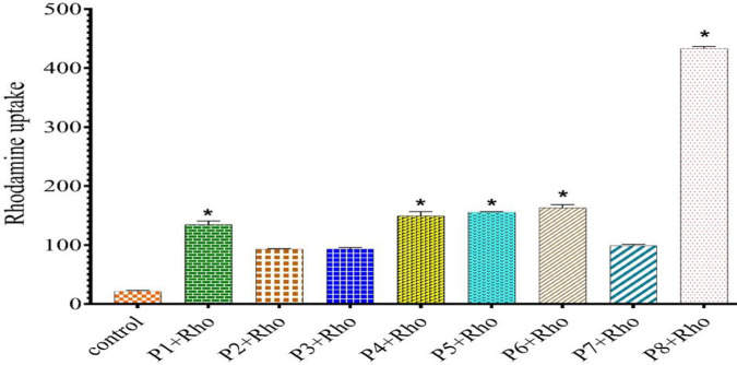 Figure 6