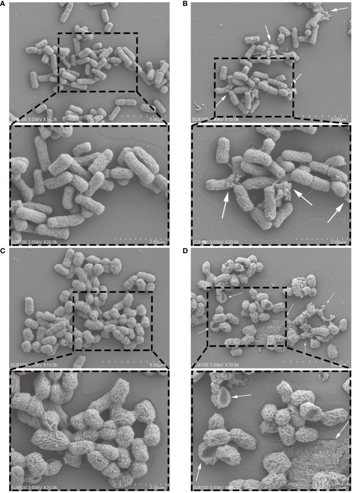 Figure 3