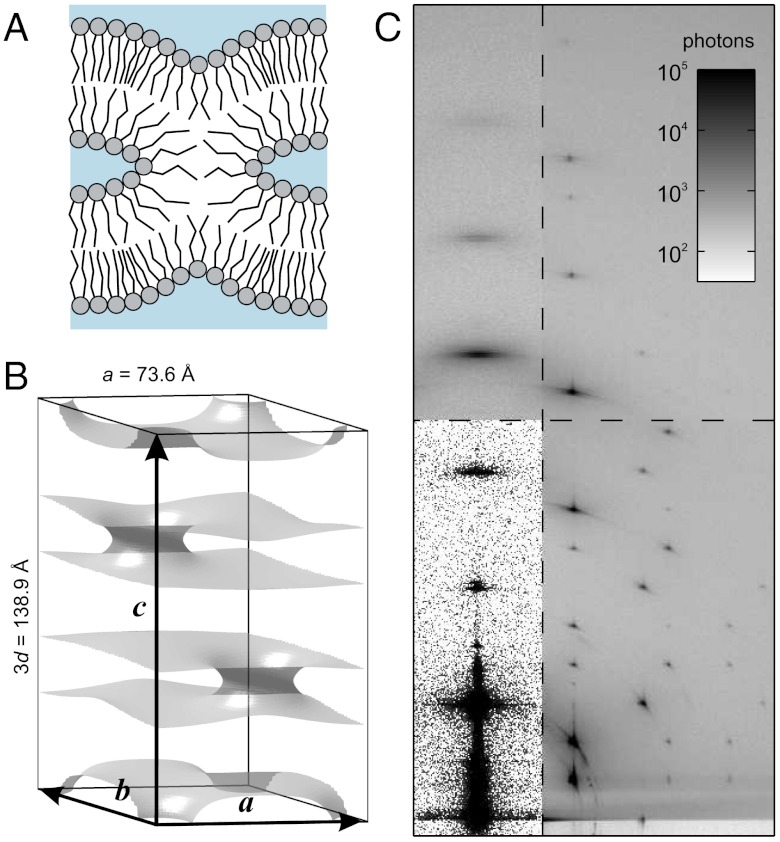 Fig. 1.