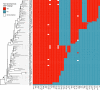 Fig. 4.