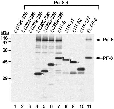 FIG. 9