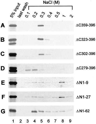 FIG. 8