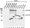 FIG. 9