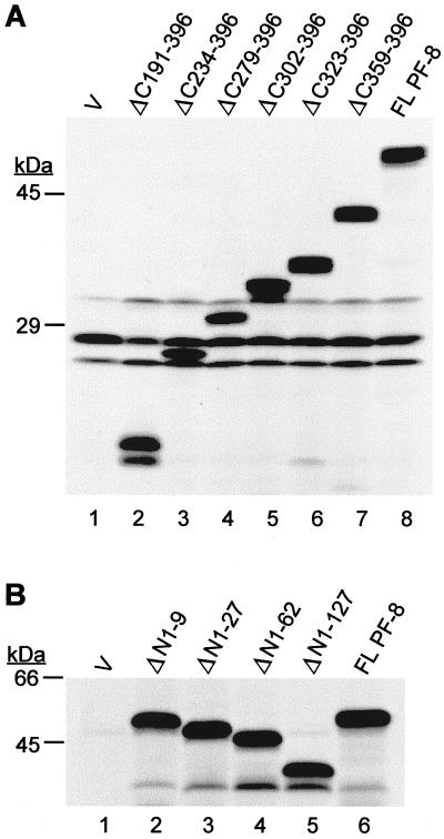 FIG. 6