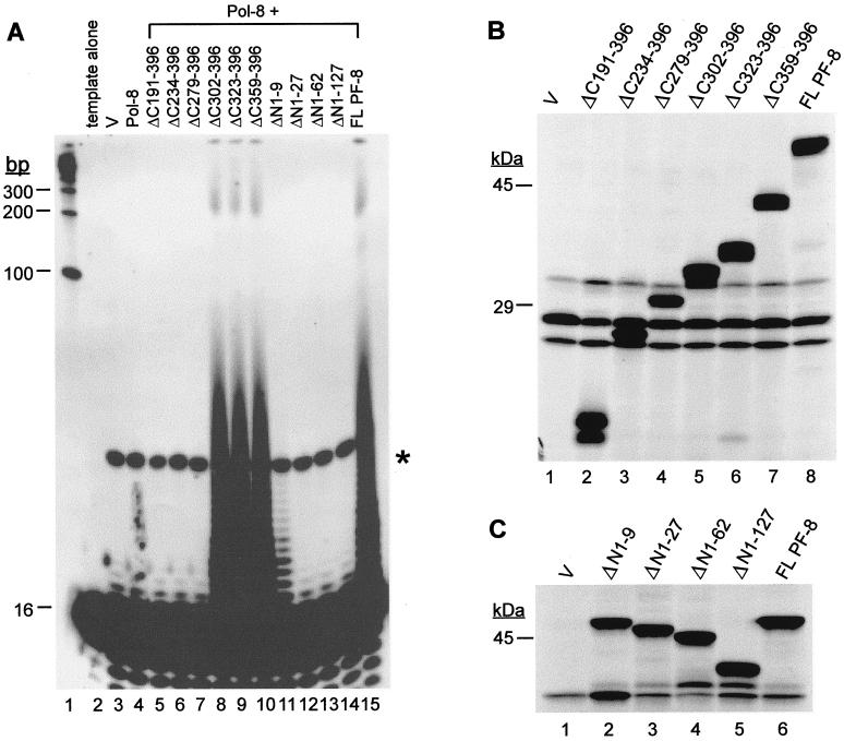 FIG. 7