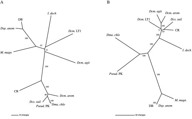 FIG. 5.