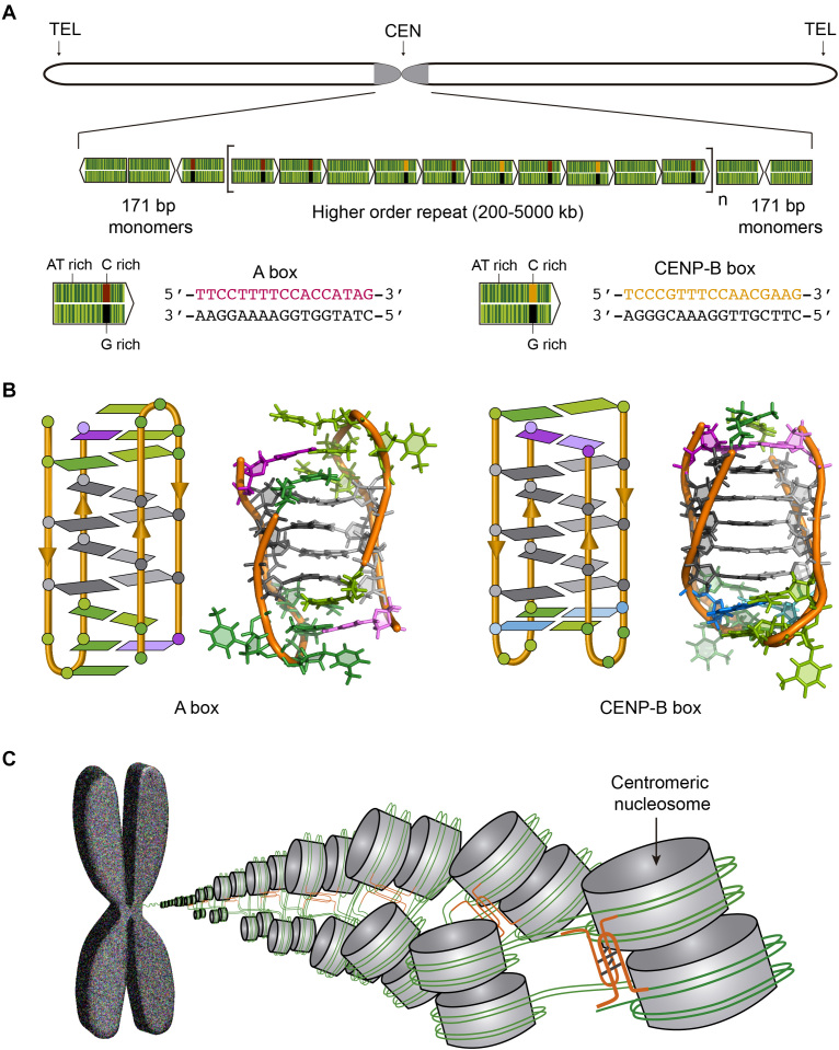 Figure 6.