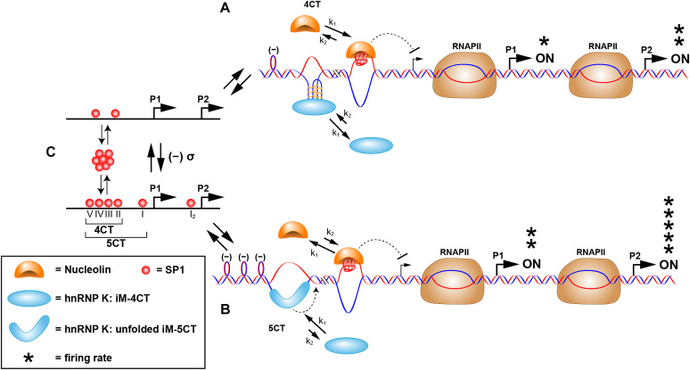 Figure 7.