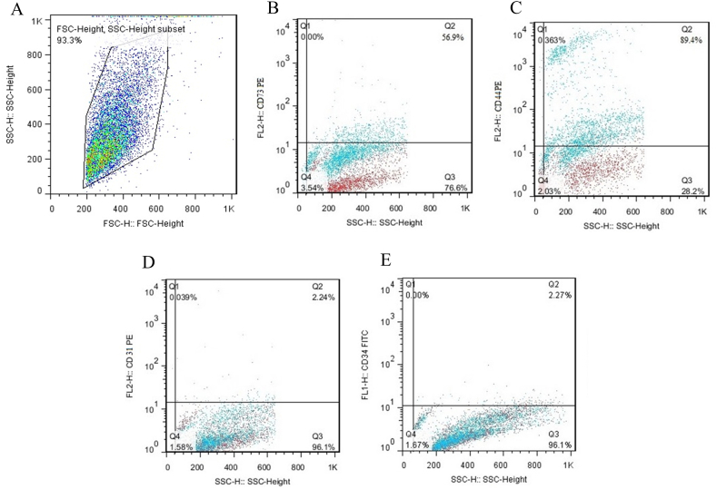 Fig. 3