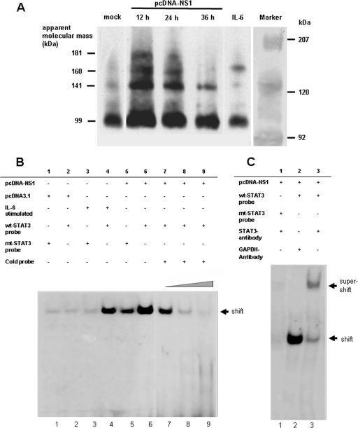 FIG. 3.