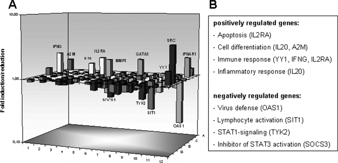 FIG. 6.