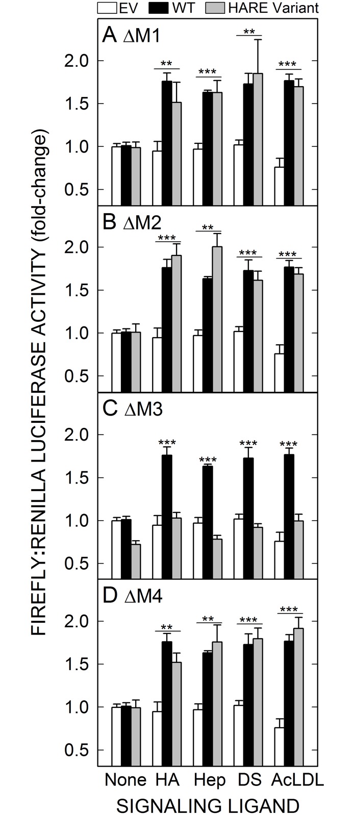 Fig 5