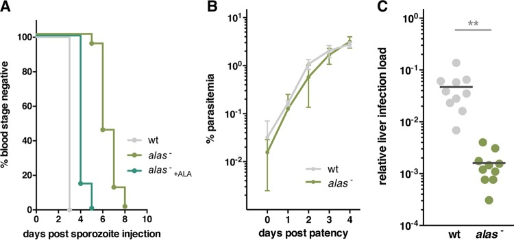FIG 6