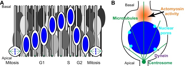 Fig. 3.