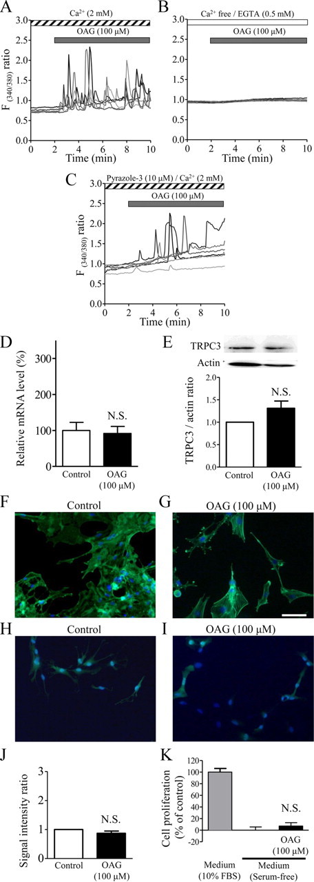 Figure 10.