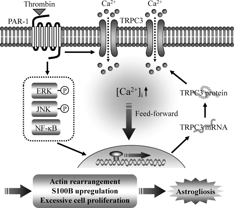 Figure 12.