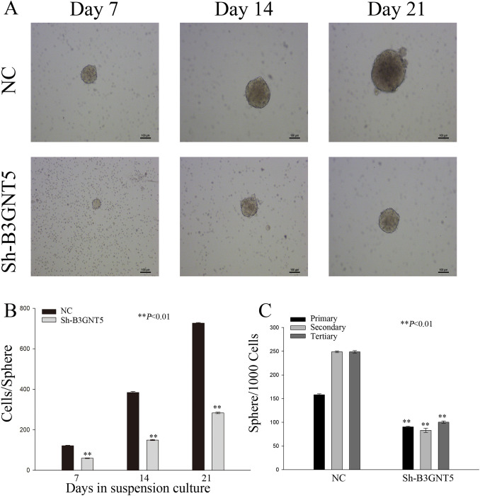 Fig 11