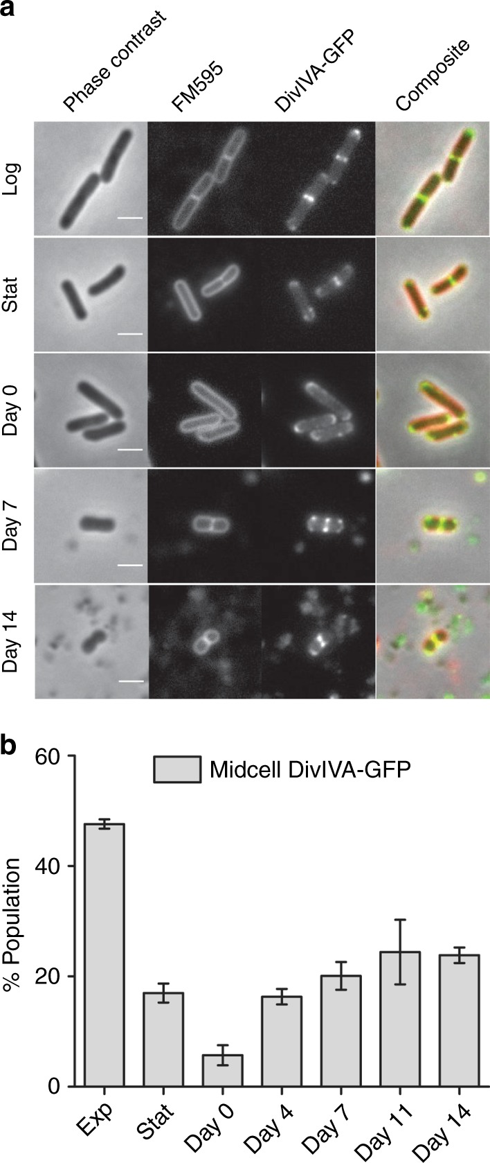 Fig. 6