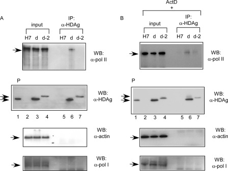 FIG. 7.