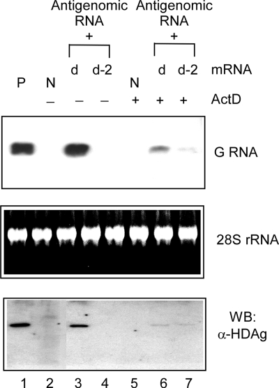 FIG. 6.