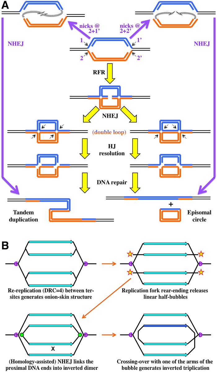 Fig 5