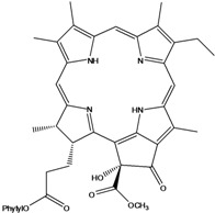 graphic file with name molecules-16-01070-i159.jpg