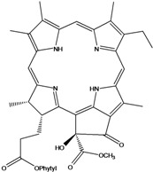 graphic file with name molecules-16-01070-i161.jpg