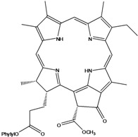 graphic file with name molecules-16-01070-i163.jpg