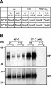 FIG. 12.