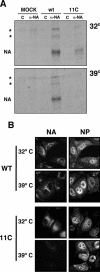 FIG. 8.